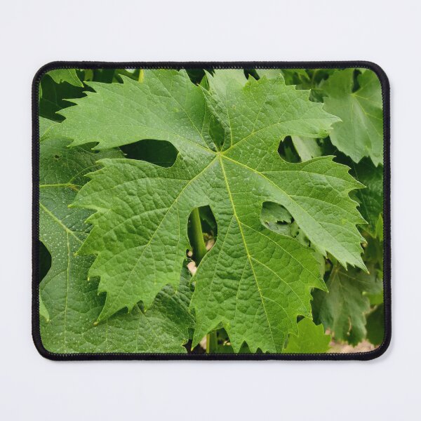 Item preview, Grape Vine designed and sold by RiciPaneto.