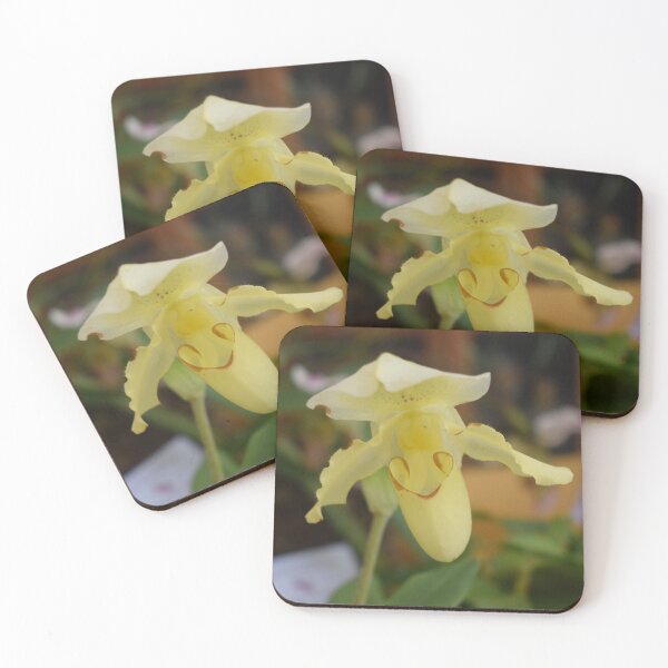 Item preview, Yellow flower of Paphiopedilum hybrid 1 designed and sold by Furiarossa.