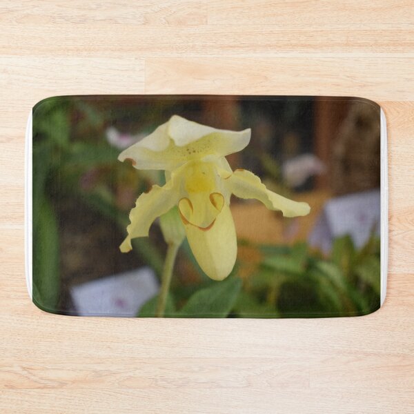 Item preview, Yellow flower of Paphiopedilum hybrid 1 designed and sold by Furiarossa.