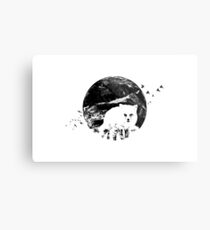 Stealth Metal Print