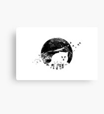 Stealth Canvas Print