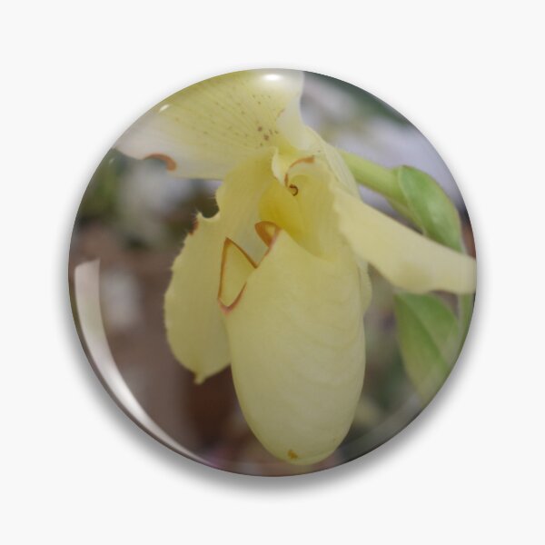 Item preview, Yellow flower of Paphiopedilum hybrid 2 designed and sold by Furiarossa.