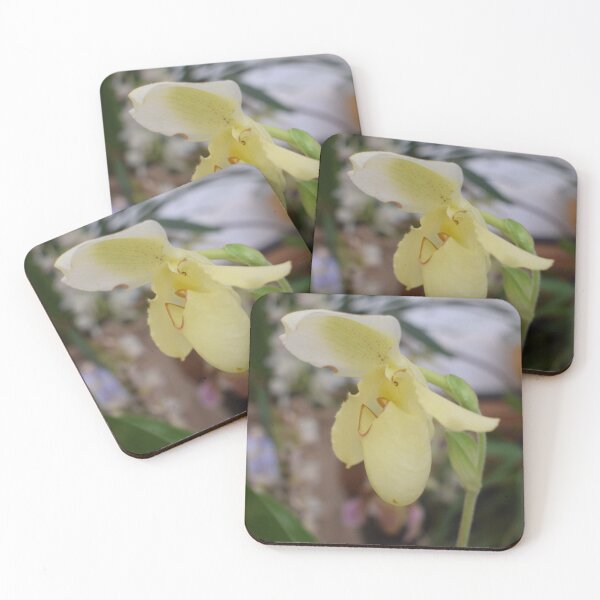 Item preview, Yellow flower of Paphiopedilum hybrid 2 designed and sold by Furiarossa.