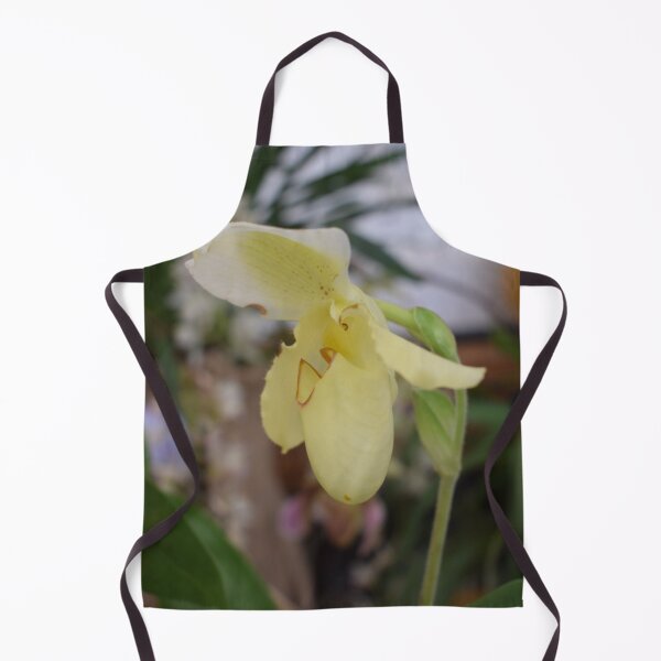 Item preview, Yellow flower of Paphiopedilum hybrid 2 designed and sold by Furiarossa.