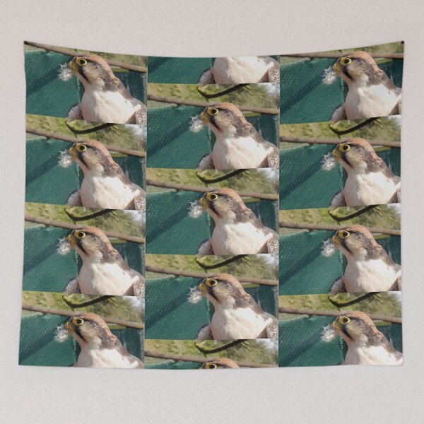 Item preview, Lanner Falcon with his lunch UK designed and sold by lynn carter.