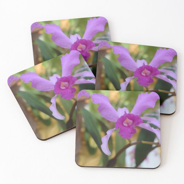 Item preview, cattleya lawrenceana var. aquinata 1 designed and sold by Furiarossa.