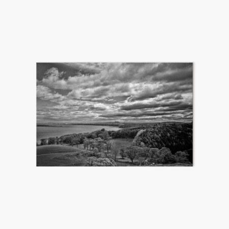 Edinburgh from the Dalmeny Estate Art Board Print