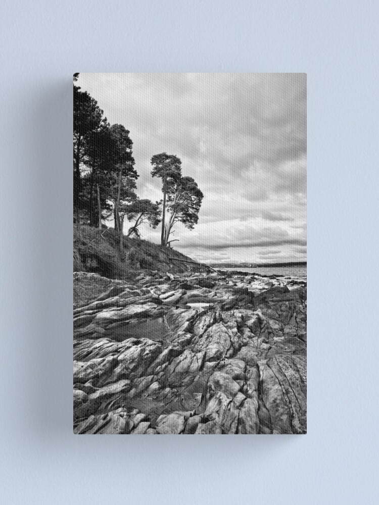 Alternate view of Rocks & Pools Canvas Print