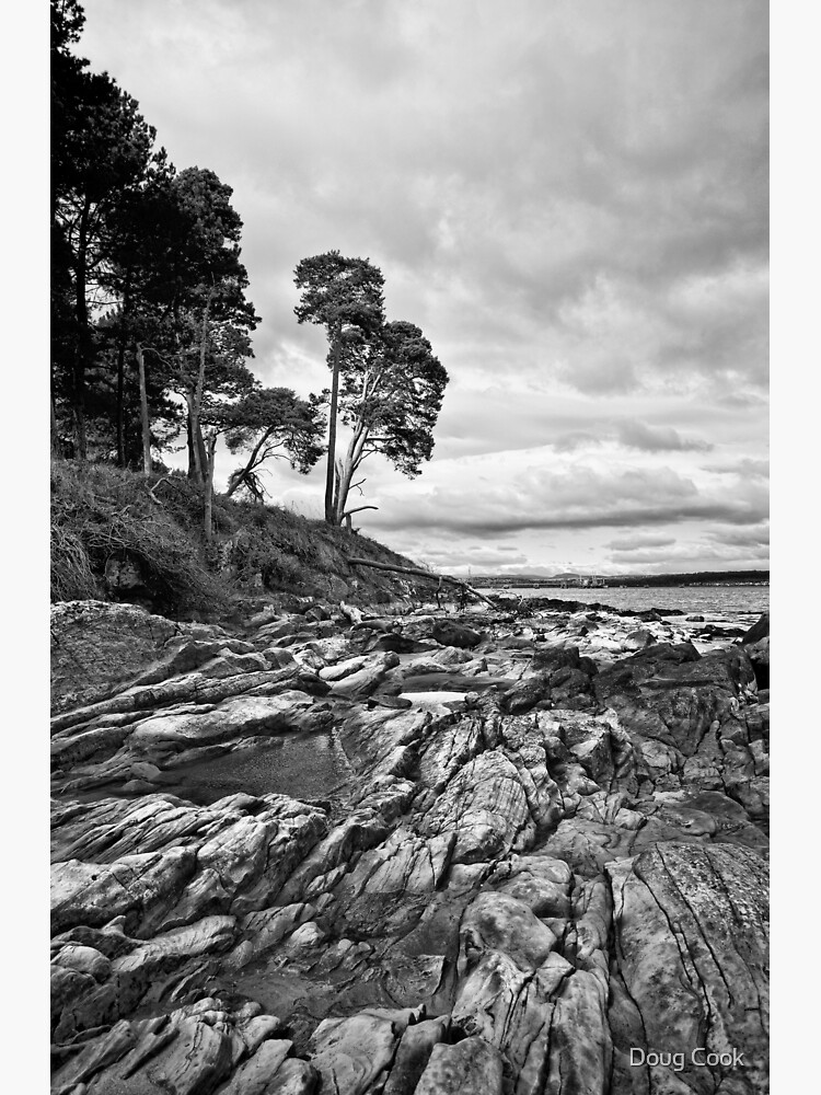 Rocks & Pools by DougCook