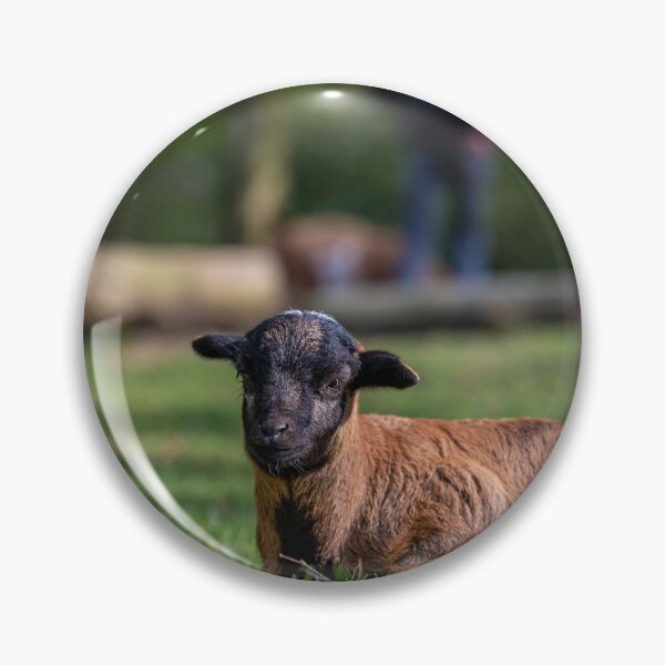 Item preview, cabrito designed and sold by OskiOnTour.