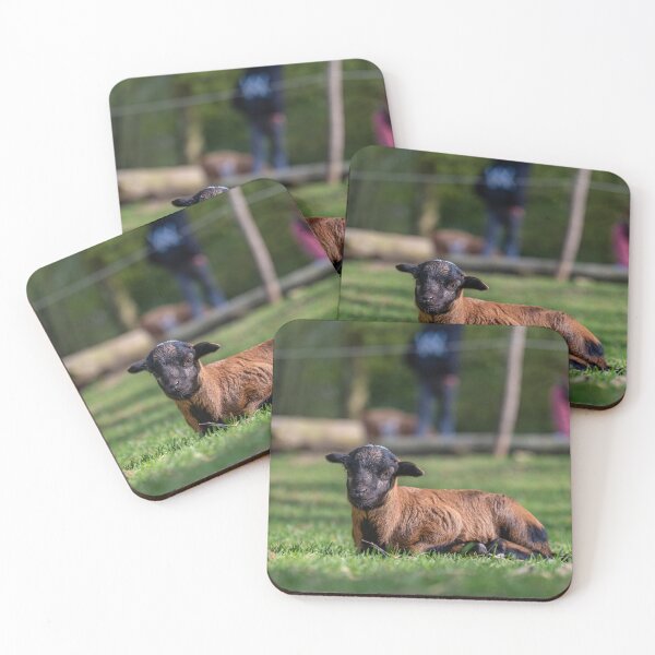 Item preview, cabrito designed and sold by OskiOnTour.