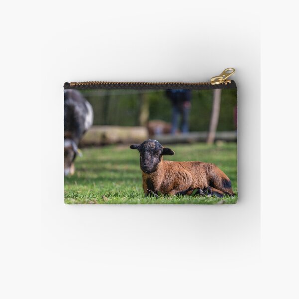 Item preview, cabrito designed and sold by OskiOnTour.