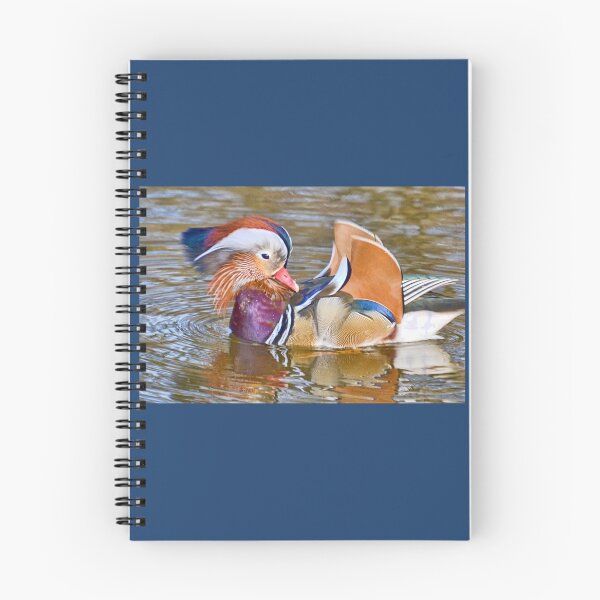 Item preview, Mandarin Duck , Dorset UK designed and sold by lynn carter.