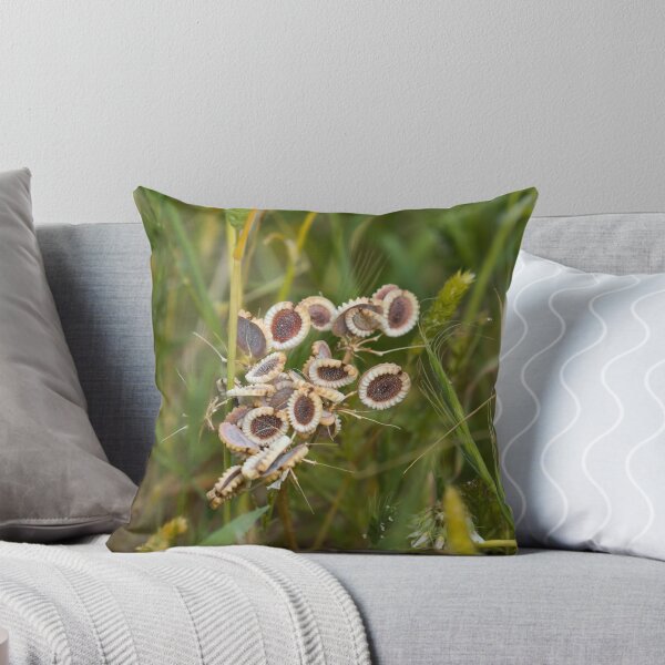 Item preview, Hartwort mediterráneo en Lesbos designed and sold by Sue Robinson.