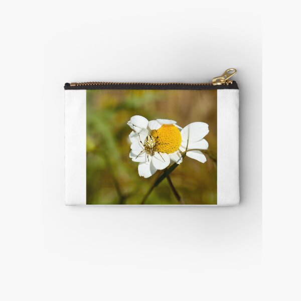 Item preview, Aculepeira armida Spider en Lesvos designed and sold by Sue Robinson.