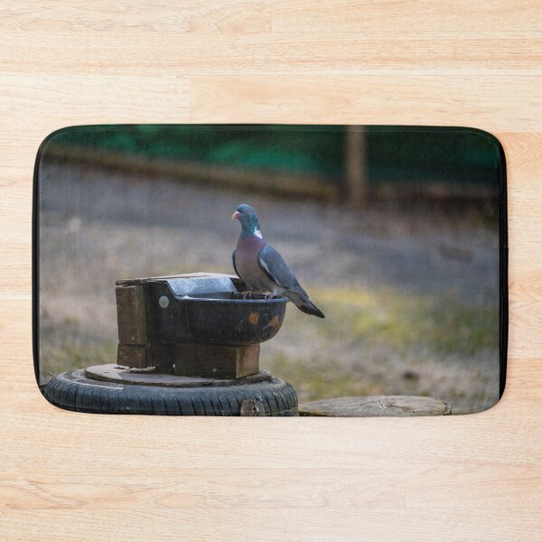 Item preview, pigeon at the watering hole designed and sold by OskiOnTour.