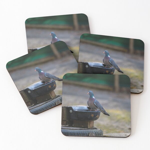Item preview, pigeon at the watering hole designed and sold by OskiOnTour.