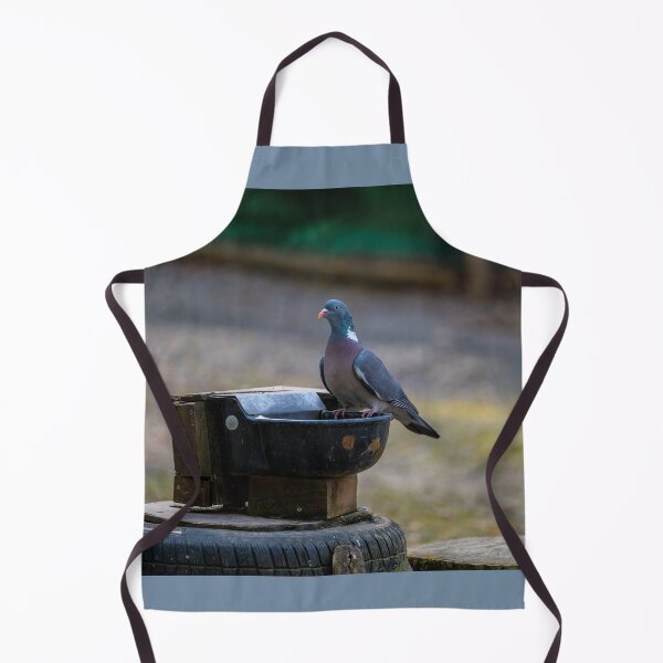 Item preview, pigeon at the watering hole designed and sold by OskiOnTour.