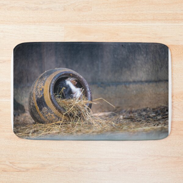 Item preview, Guinea pigs in a pot designed and sold by OskiOnTour.