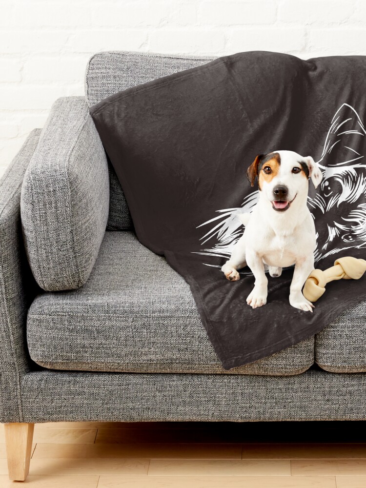 Constantine store dog sofa