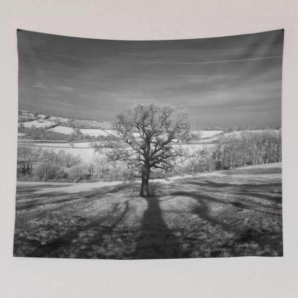 Item preview, Lone tree over the East Somerset Railway designed and sold by JonDelorme.