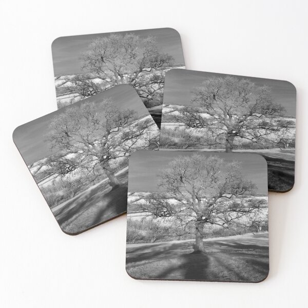 Item preview, Doulting Hill, Shepton Mallet. Black and white Photography designed and sold by JonDelorme.