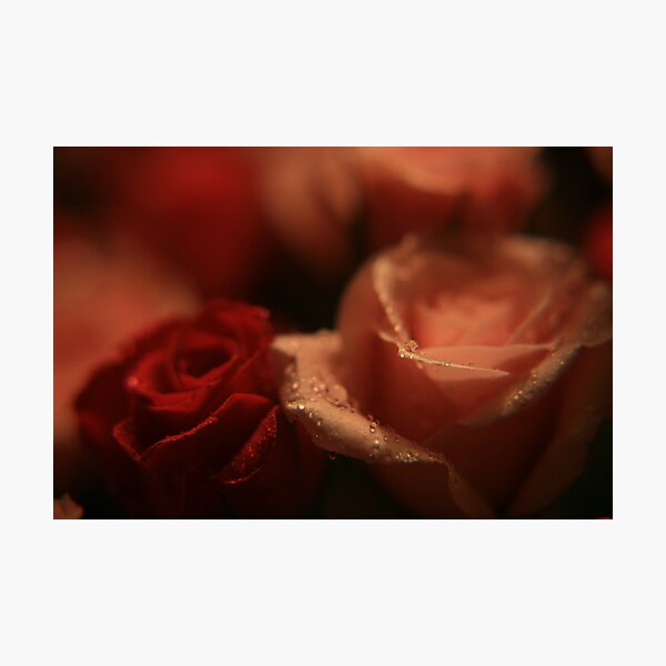 Elegance Photographic Print