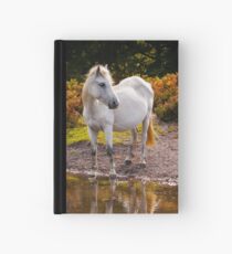 Equine Reflections Hardcover Journal