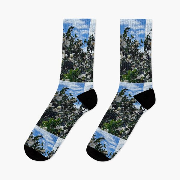 Item preview, White Azalea Sky designed and sold by KazM.