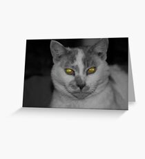 Lady Greeting Card