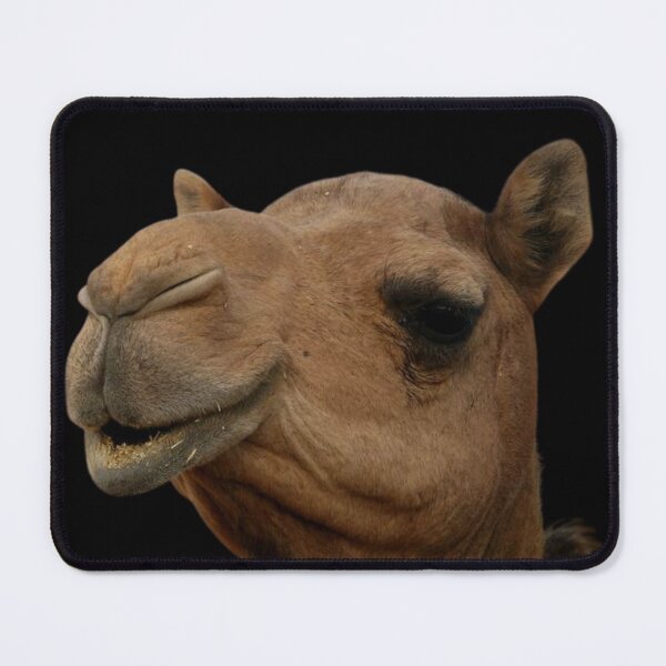 Item preview, Plain Close Up Portrait Of A Camel Head designed and sold by FunPrint.