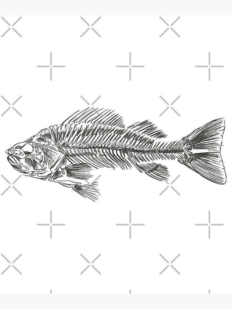 Autocollant Squelette de Poisson