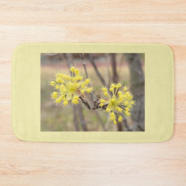 Item preview, Yellow plum blossom flower on the weir of the Yeongsan River next to the Sports Complex in Buk-gu, Gwangju,korea designed and sold by human8891.