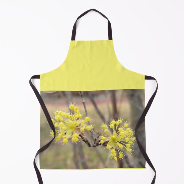 Item preview, Yellow plum blossom flower on the weir of the Yeongsan River next to the Sports Complex in Buk-gu, Gwangju,korea designed and sold by human8891.