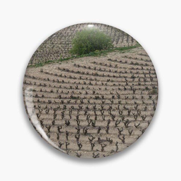 Item preview, La Rioja Grapevines designed and sold by DiFigianoPhoto.