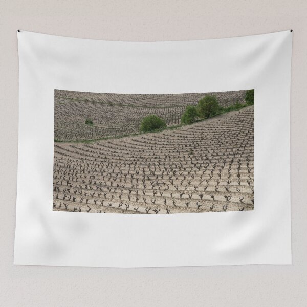 Item preview, La Rioja Grapevines designed and sold by DiFigianoPhoto.