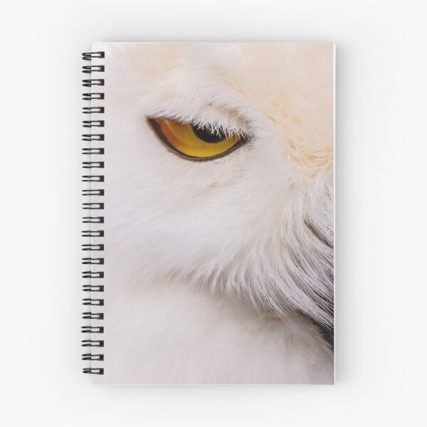 Item preview, The Face of a Snowy Owl designed and sold by Dalyndigital Photography.