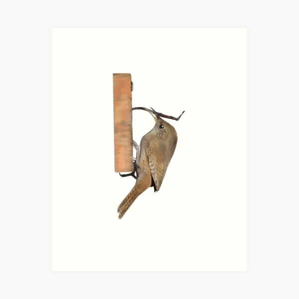 Item preview, House Wren  designed and sold by Wondersofwhimsy.