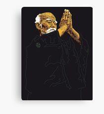 Sensei Canvas Print