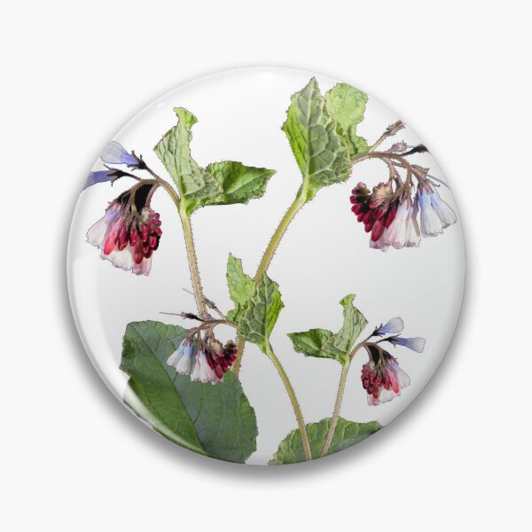 Item preview, Comfrey Flower. Macro photo, very useful garden plant designed and sold by JonDelorme.