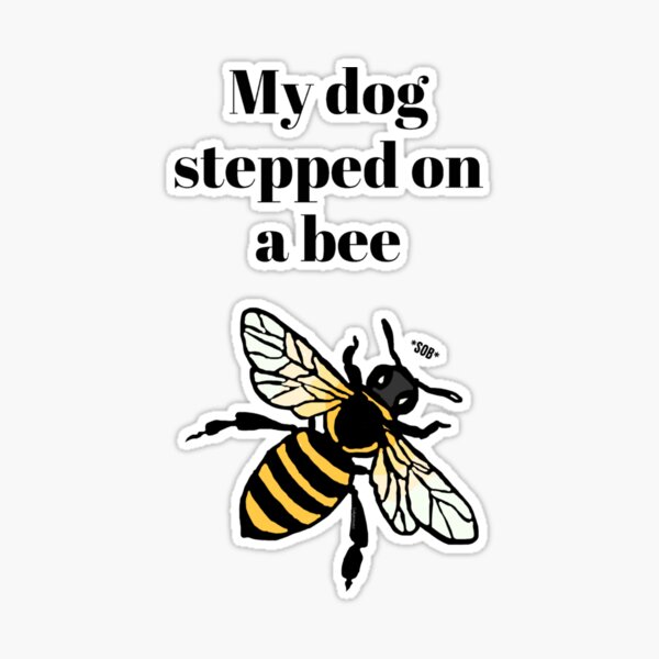 My Dog Stepped On A Bee (Amber Heared) - song and lyrics by