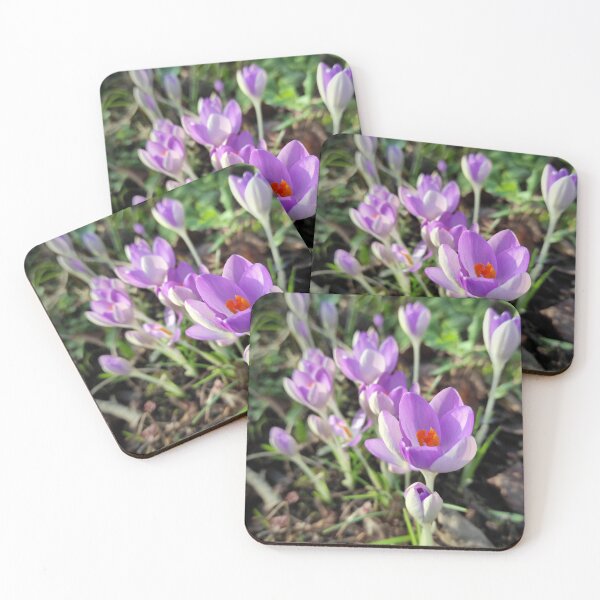 Item preview, crocuses designed and sold by Gourmetkater.