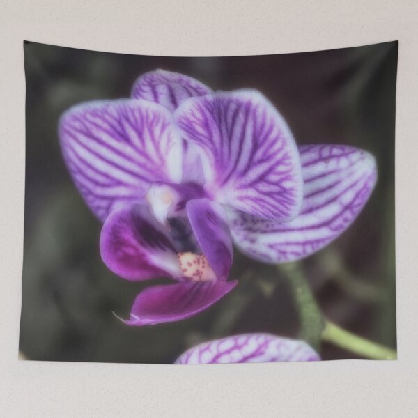 Item preview, Soft Purple orchid flower designed and sold by Roger Porter Photography.