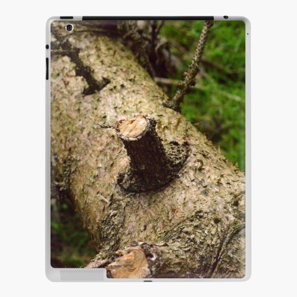 The Trunk iPad Skin