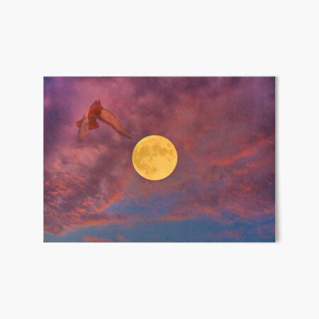 in flight Art Board Print