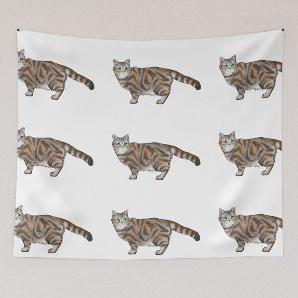 Item preview, American Short Hair cat designed and sold by NovaesArt.