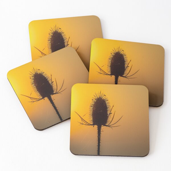 Item preview, Teasel  at sunset designed and sold by Dalyndigital Photography.
