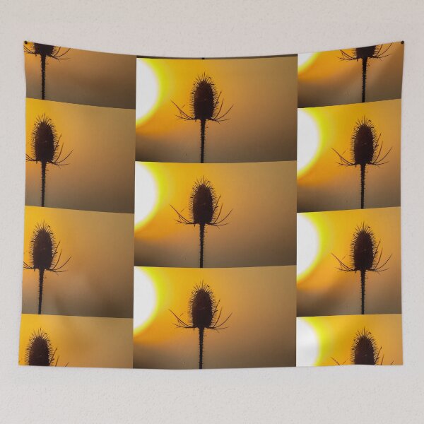 Item preview, Teasel  at sunset designed and sold by Dalyndigital Photography.
