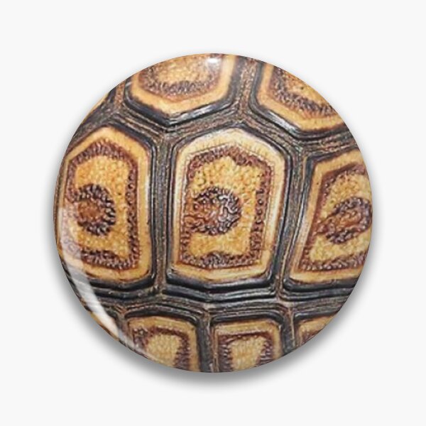 Item preview, Earth Element #14, Tortoise Shell, Stability, Wisdom, Longevity designed and sold by Nicolette Olivier.