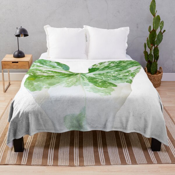 Item preview, Unique and organic photo of a Syngonium Albo 1 designed and sold by AvonPerception.